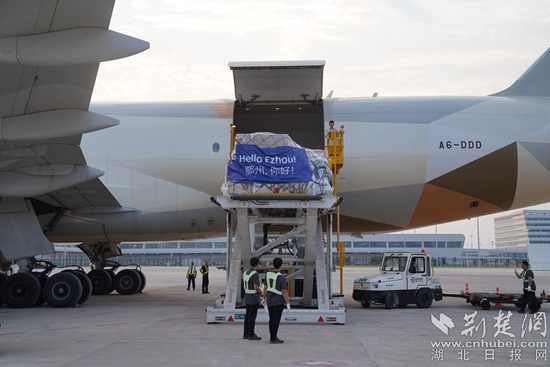 機(jī)務(wù)人員卸下貨物。金康 攝.jpeg