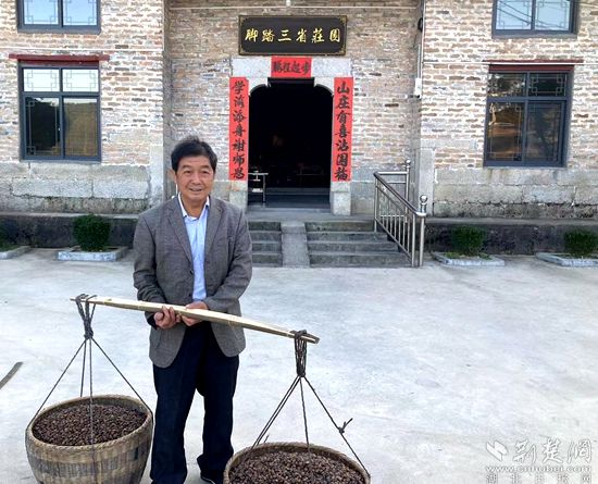 何道關與自己種的油茶果。黃錚 攝_副本.jpg.jpg